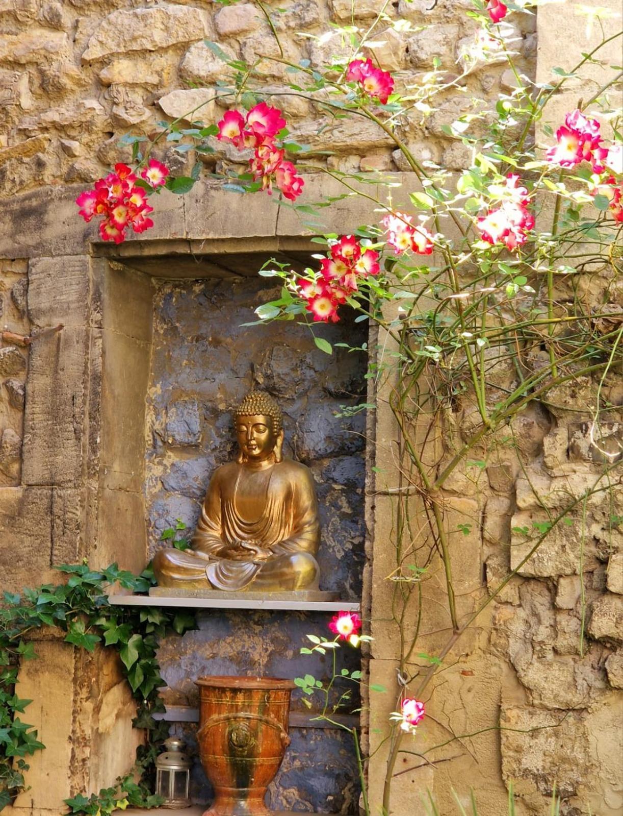 Capucines, Un Jardin Secret Dans Le Centre Historique Apartment Arles Exterior foto