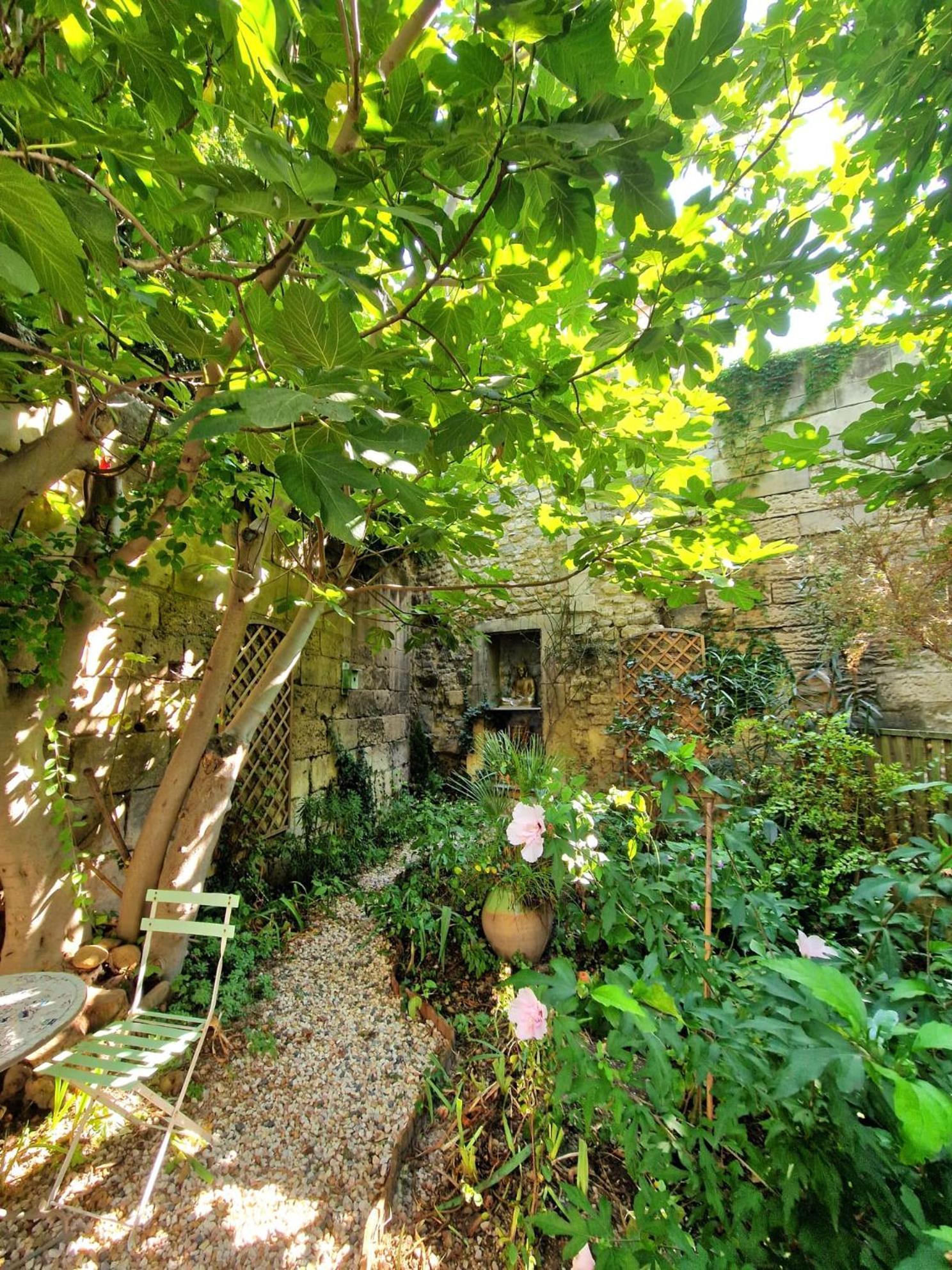 Capucines, Un Jardin Secret Dans Le Centre Historique Apartment Arles Exterior foto